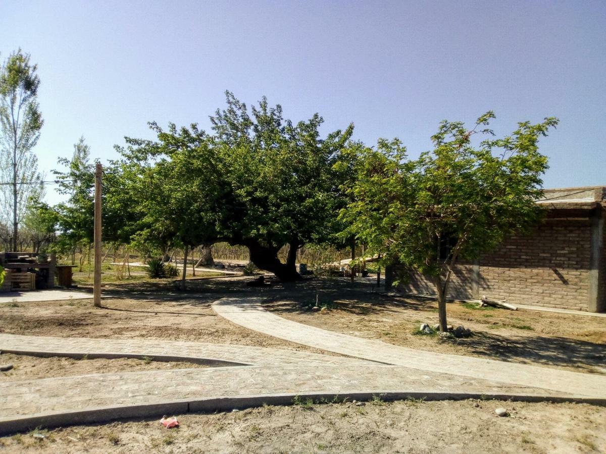 Cabanas De La Bodega Romano-Pin Albardón Zewnętrze zdjęcie